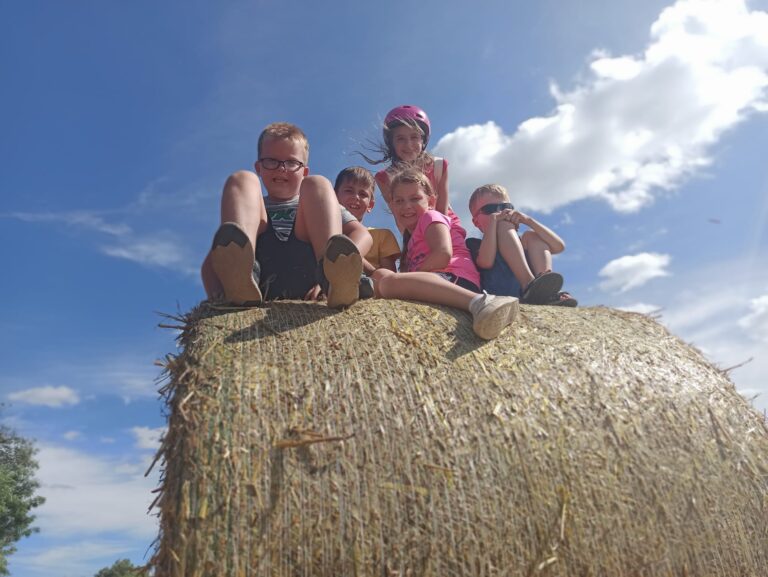 Nyári élménytábor 2024